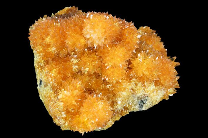 Intense Orange Calcite Crystals - Poland #104206